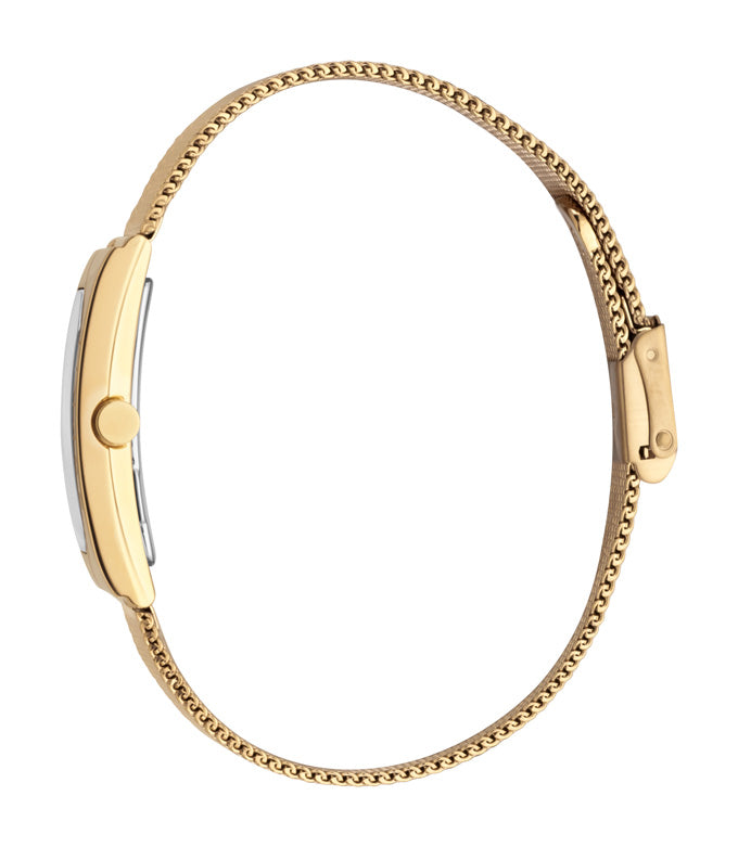 Houston Blaze Ladies Watch 18mm