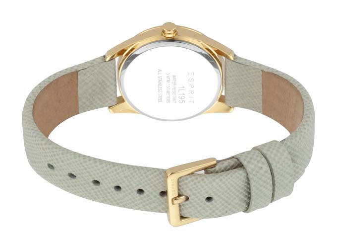 Robinson Ladies Watch 30mm