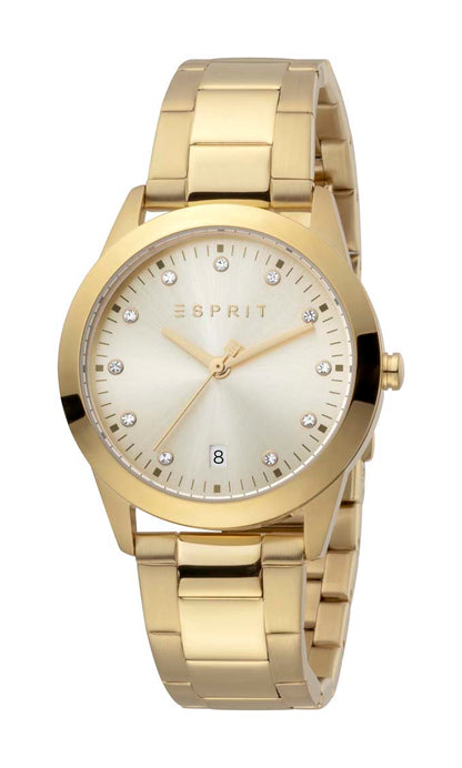 Daphne Ladies Watch 34mm