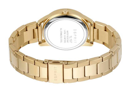 Daphne Ladies Watch 34mm