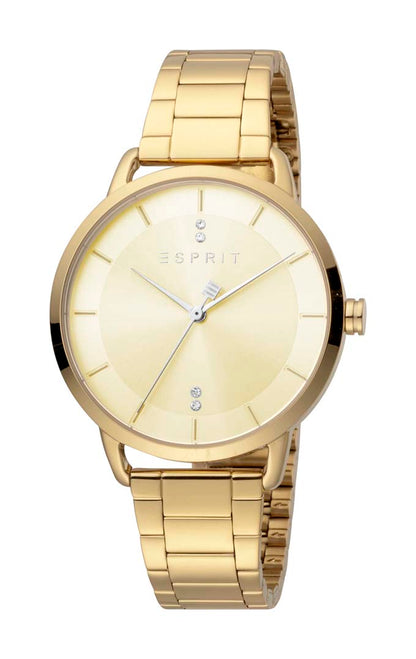 Macy Ladies Watch 36mm