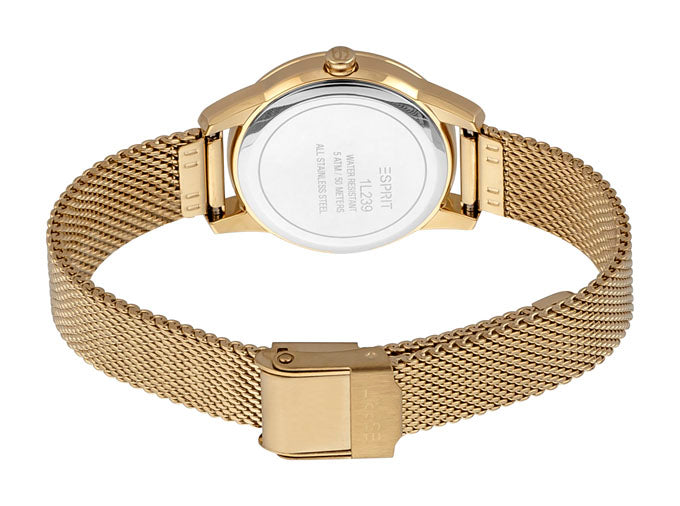 Wind Ladies Watch Size 30mm