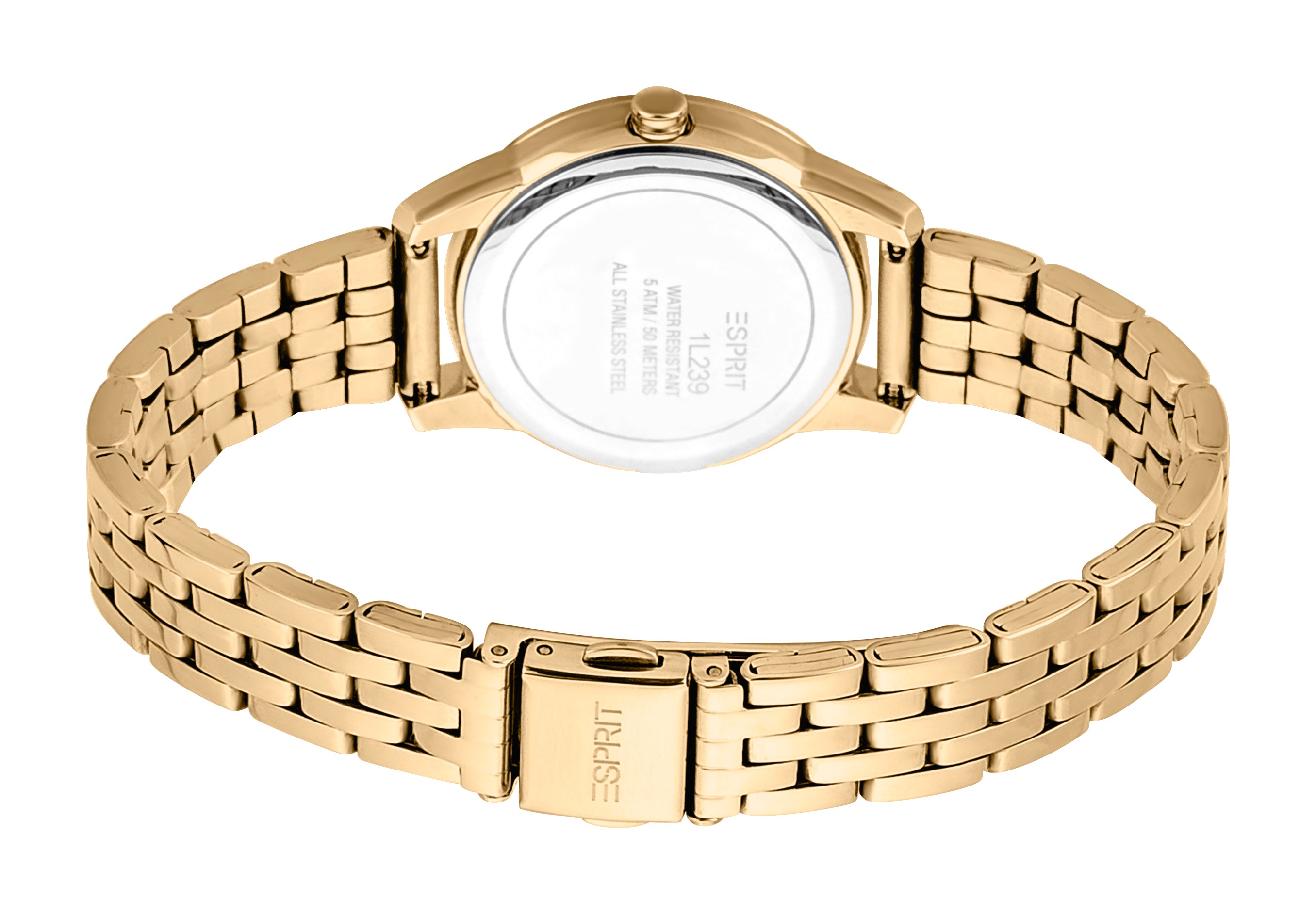 Wind Ladies Watch Size 30 mm
