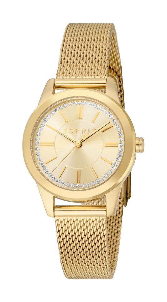 Florentine Ladies Watch Size 30mm