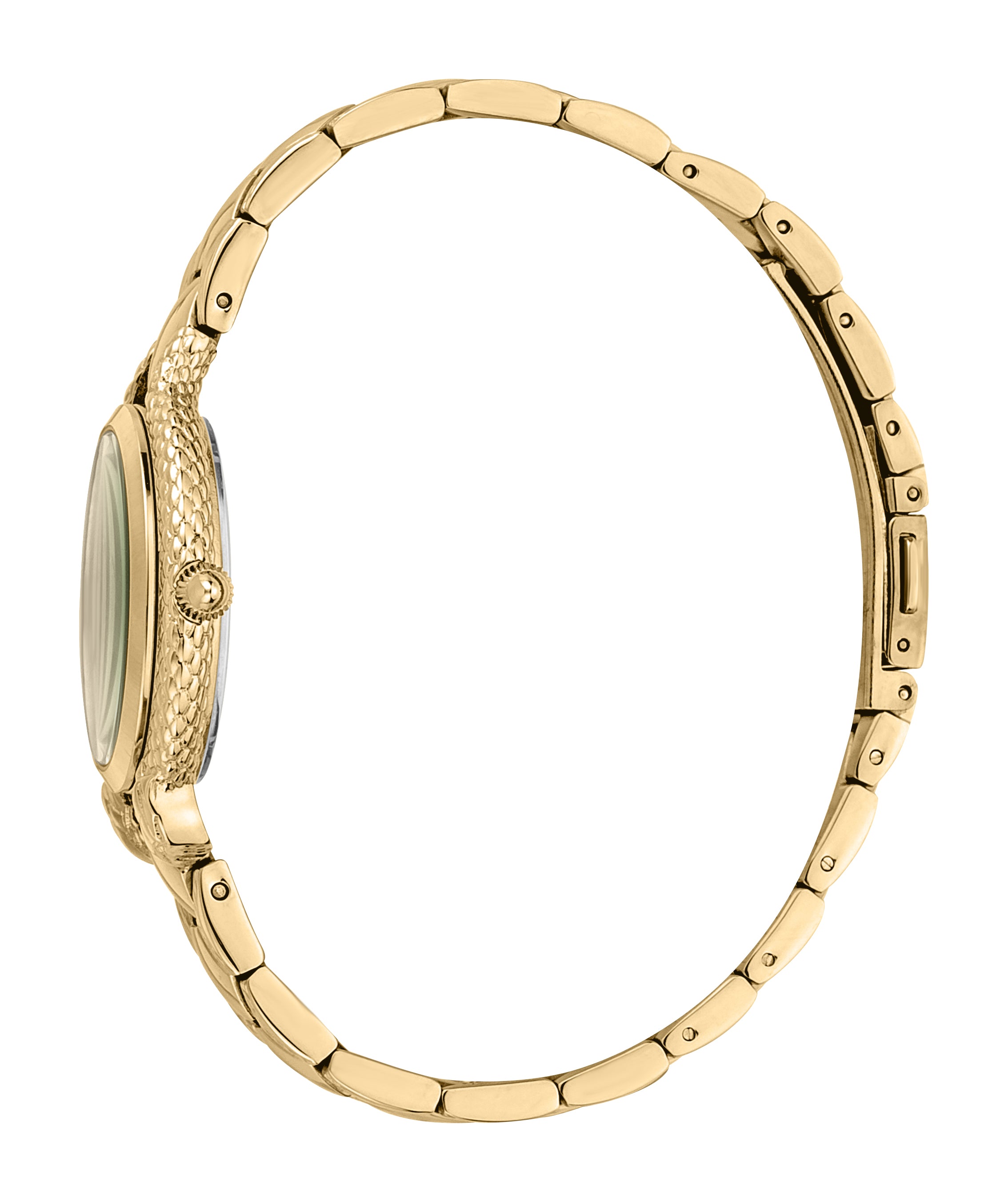 Cerimonioso Ladies Watch Size 32mm