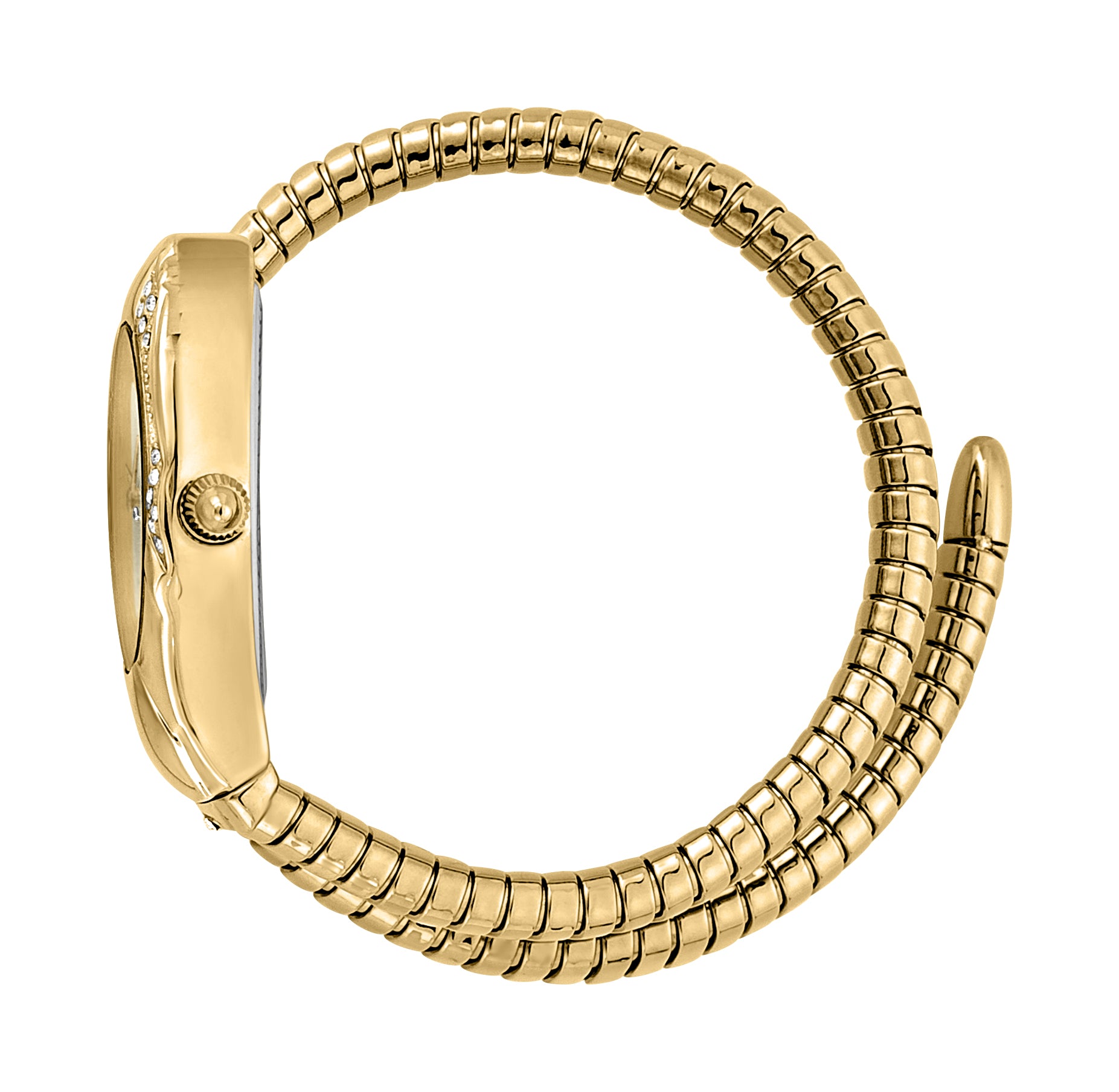 Serpente Regali Ladies Watch Size 22mm