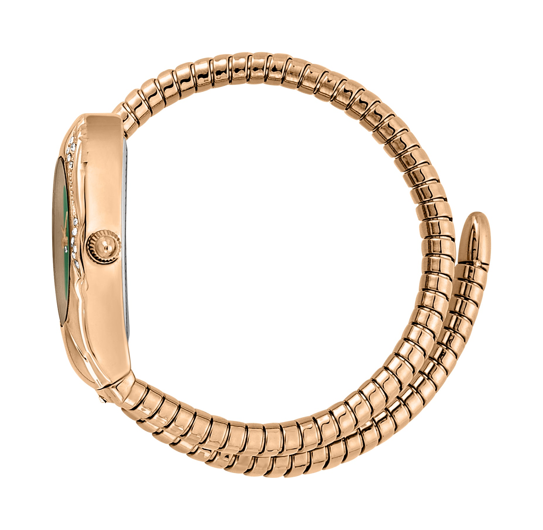 Serpente Regali Ladies Watch Size 22mm