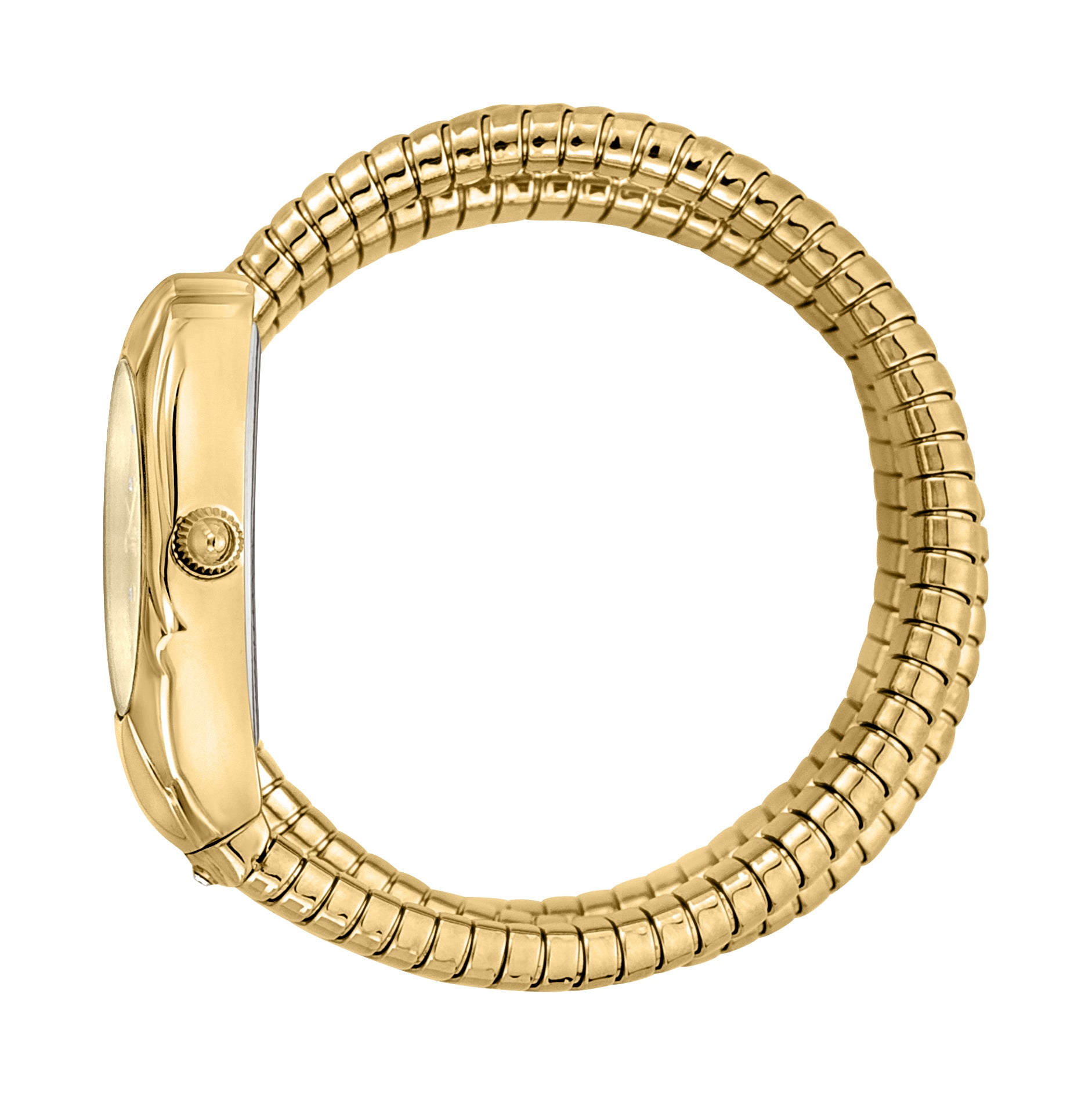 Serpente Emozioni Ladies Watch Size 22mm