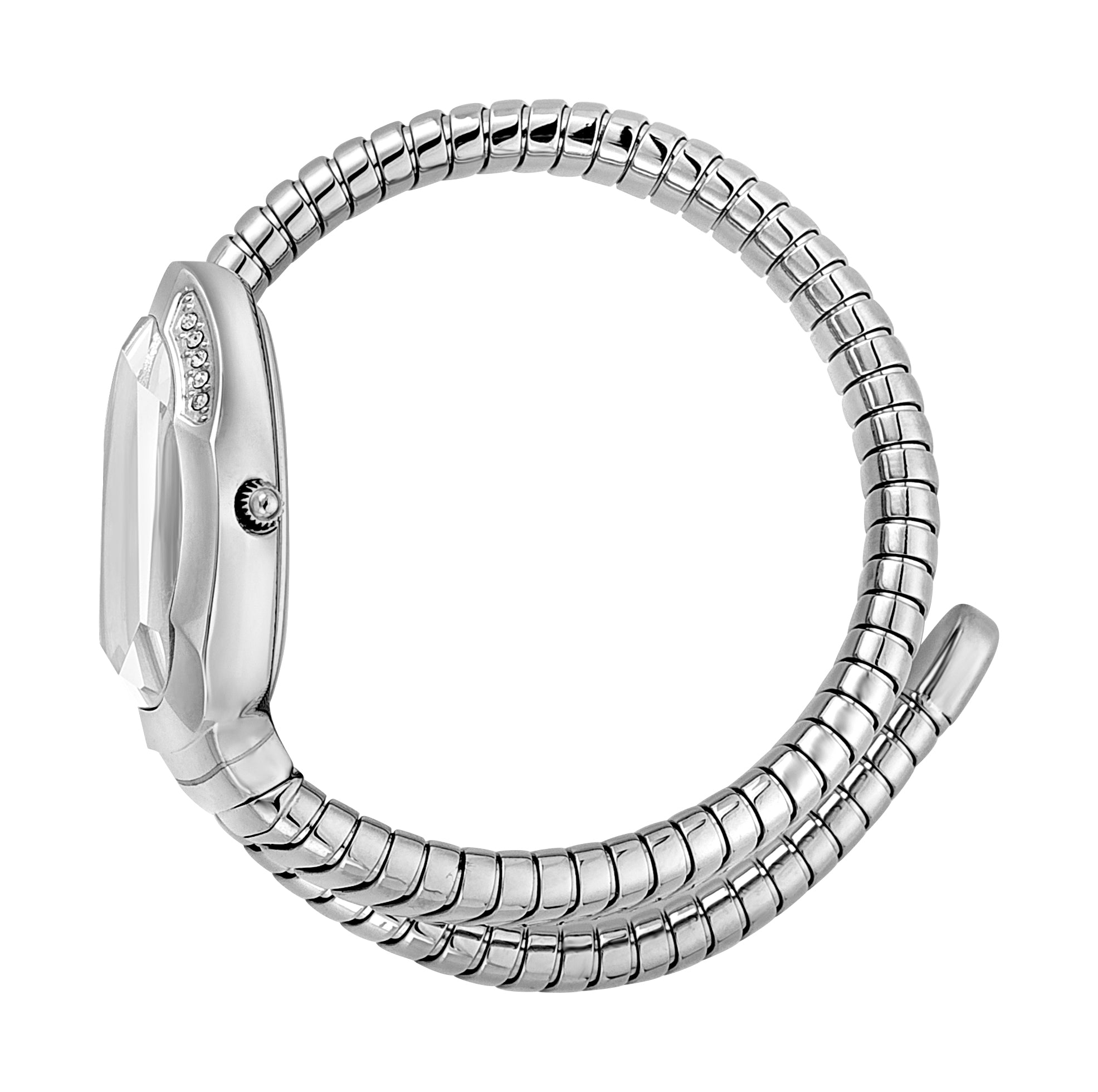 Serpente Metallica Ladies Watch Size 22mm