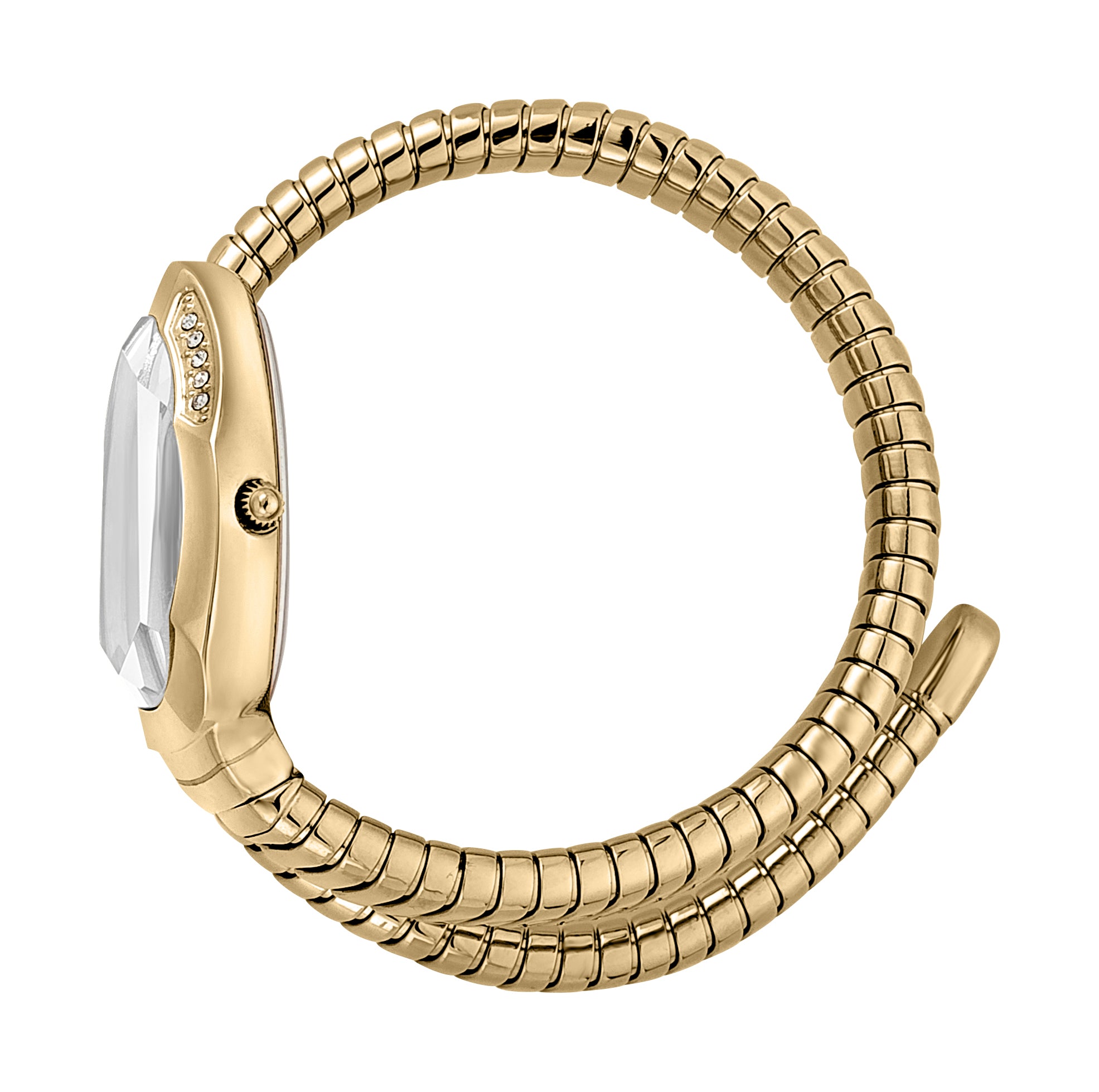 Serpente Metallica Ladies Watch Size 22mm