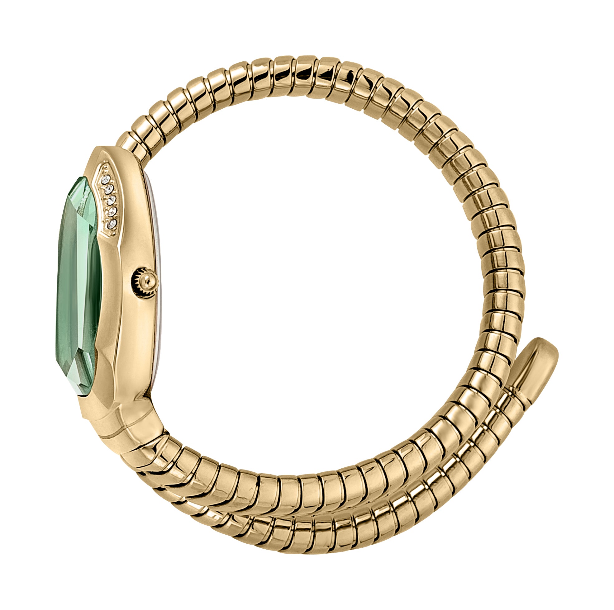 Serpente Metallica Ladies Watch Size 22mm