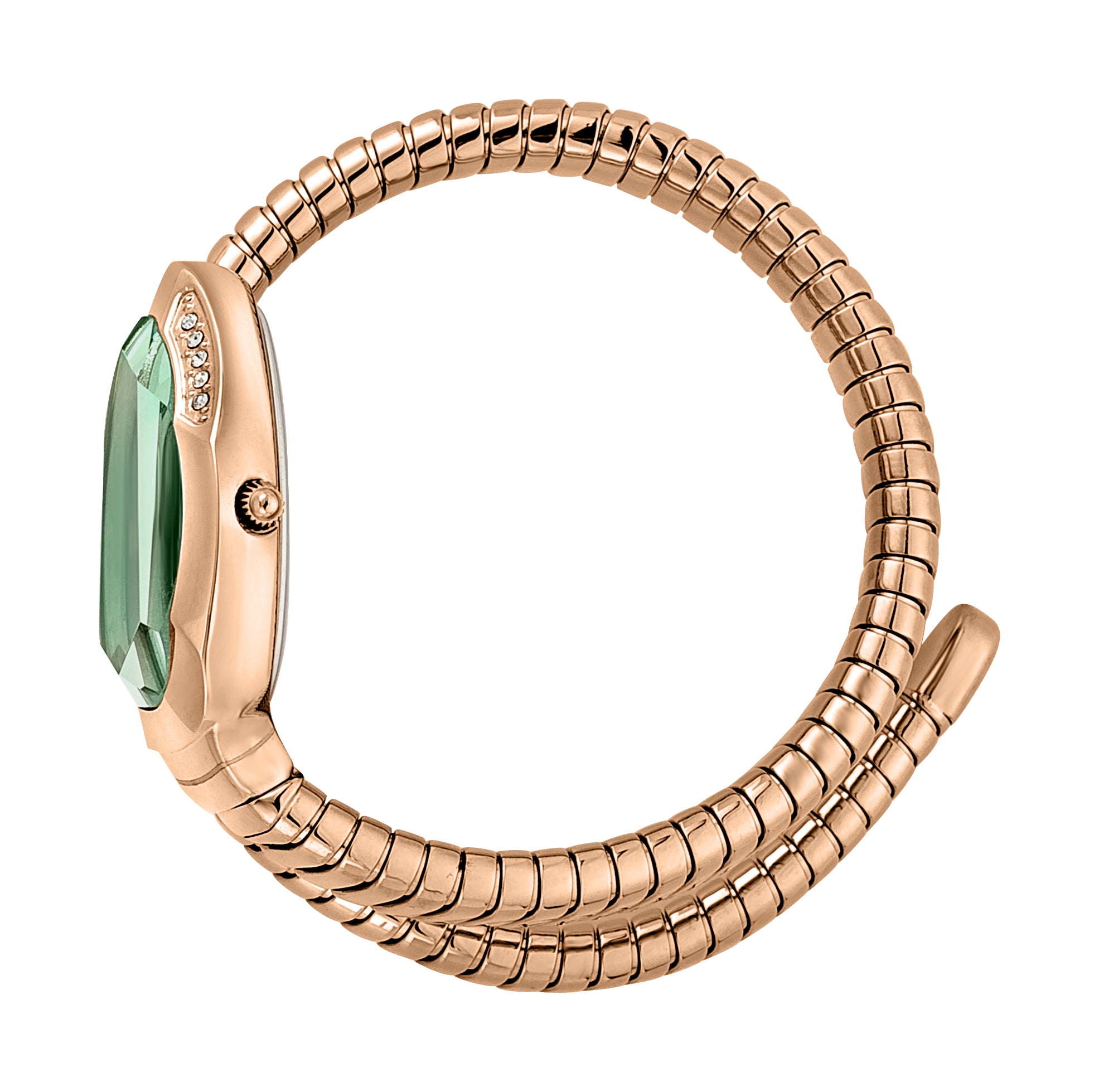 Serpente Metallica Ladies Watch Size 22mm
