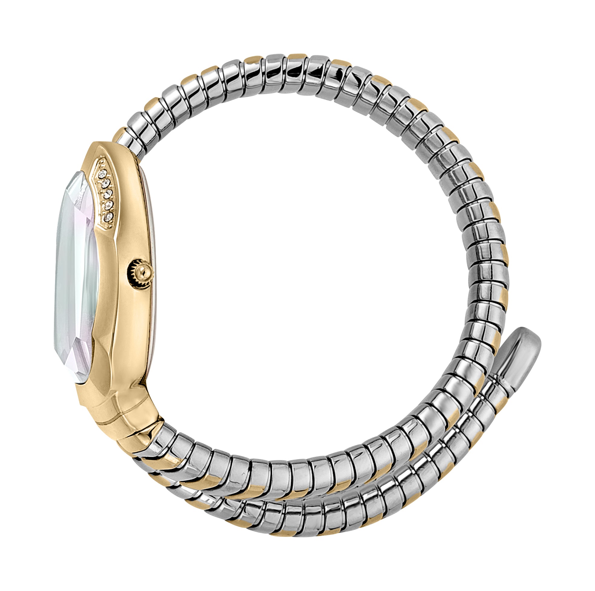 Serpente Metallica Ladies Watch Size 22mm